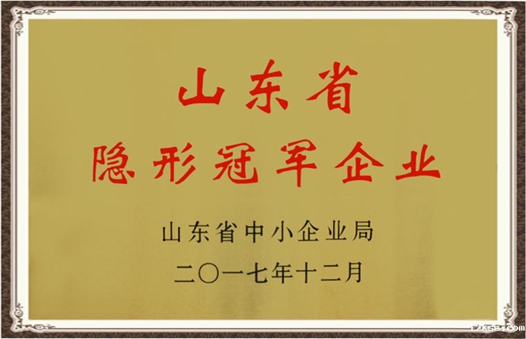山东省隐形冠军企业