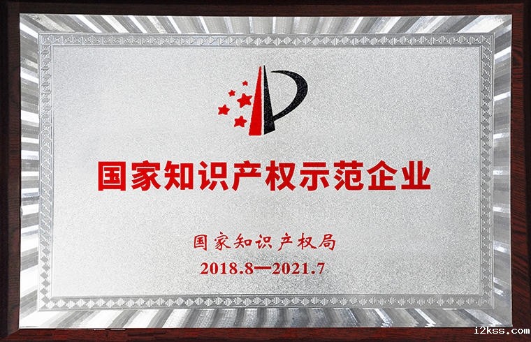 国家知识产权示范企业