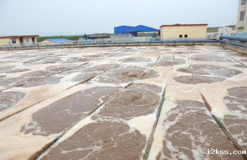 thumb_20190110154710_330