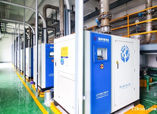 磁悬浮鼓风机-山东某化工厂